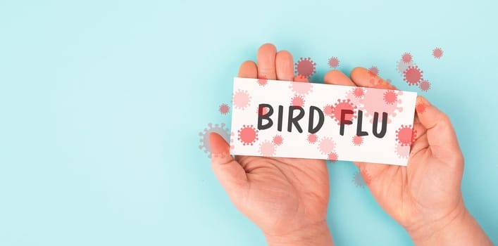 Bird flu virus outbreak, Avian influenza, infectious disease spreading to mammals and humans, sick animals