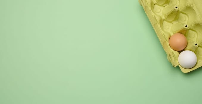 Chicken egg and paper storage box on green background, copy space