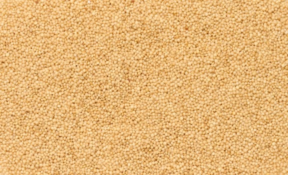 Amaranth seeds, full frame. Close up