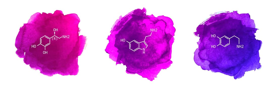Neurotransmitters vector illustration on watercolor