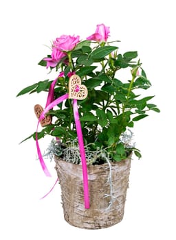 Isolated Mother's Day present with pink rose flowers and a heart