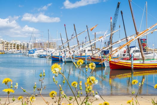 Le Barcarès, France - May 22, 2024: Fishing boats and marina port photographed in bright light and vivid colors