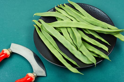Fresh raw green beans and a grass knife. Green Romano beans. Top view
