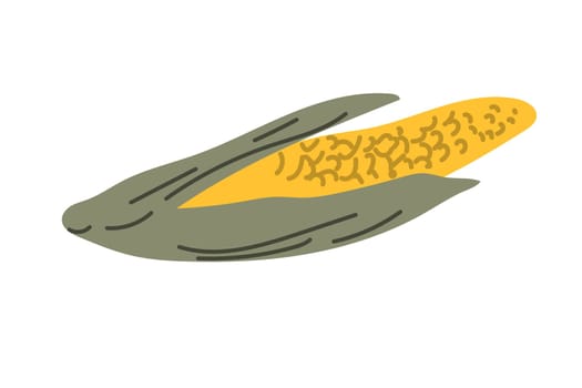 Autumn fall thanksgiving element corn -harvest icon. Fall vegetable. Hand drawn september, october, november food vector illustration.
