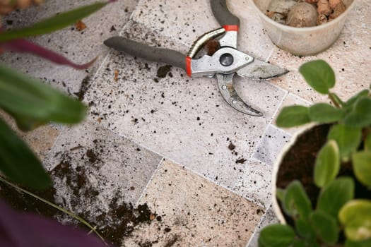 garden secateur and plant pots. home gardening. Top view.