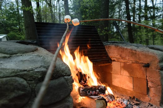 Two marshmallows being roasted over an open campfire with flames and logs. The background includes trees and a stone fire pit.