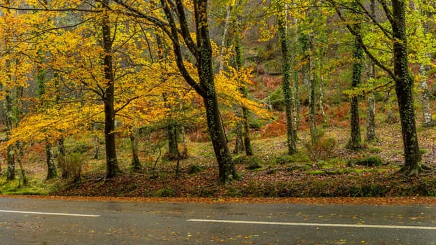 Autumn landscape at Geres National Park, Portugal