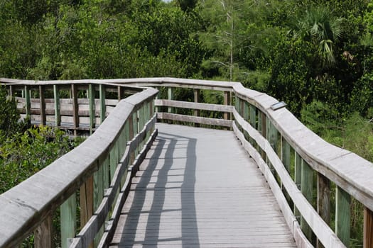 A wooden boardwalk winding through lush green vegetation in a natural park. The pathway is elevated and surrounded by various types of trees and bushes.