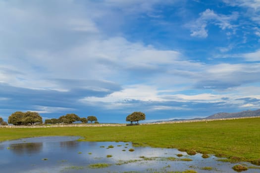 Landscape with trees reflected in water near Arroyo de la Luz. Extremadura. Spain.