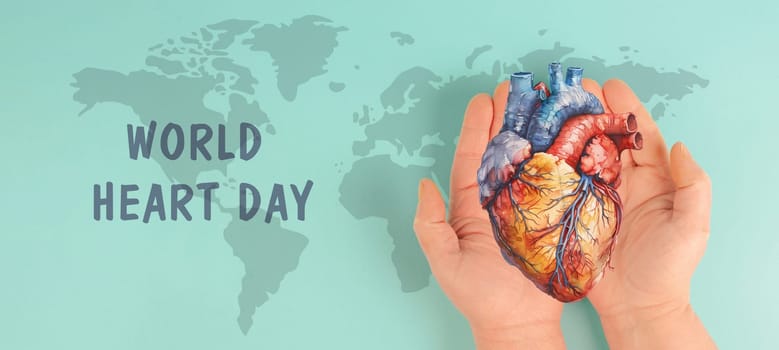 Heart attack, Myocarditis disease, inflammation of the muscle, thrombosis and cardiac stress, hands holding human organ