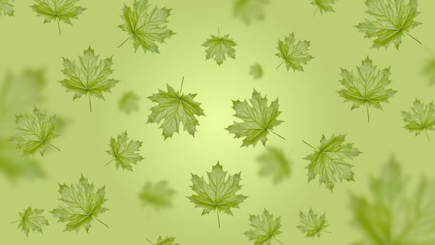 Green Norway maple leaf on a green background, leaves of different sizes levitate