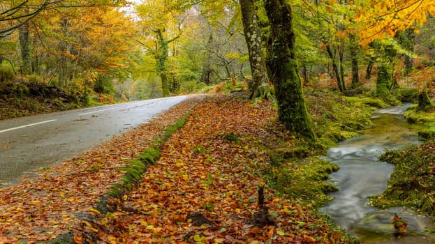 Autumn landscape at Geres National Park, Portugal