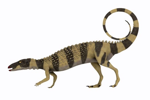 Scutellosaurus was an armored herbivorous dinosaur that lived in Arizona, USA during the Jurassic Period.