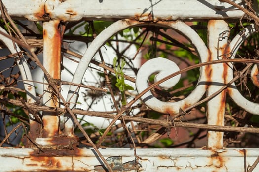 Old decorated cast iron garden fence, Germany