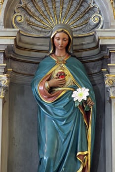 Altar of the Immaculate Heart of Mary in the parish church of the Holy Trinity in Karlovac, Croatia