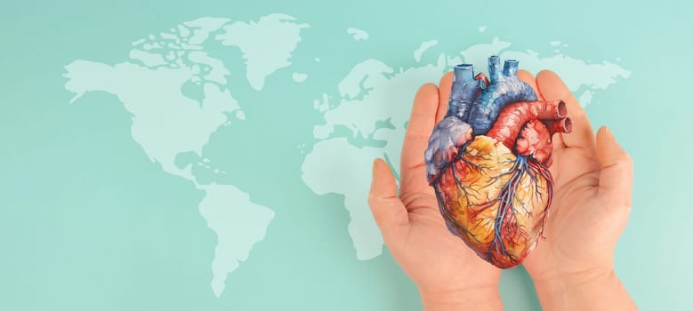 Heart attack, Myocarditis disease, inflammation of the muscle, thrombosis and cardiac stress, hands holding human organ