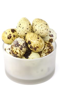 Quail eggs in a group, a delicacy with great taste qualities. Selective focus with shallow depth of field.