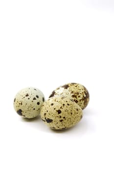 Quail eggs in a group, a delicacy with great taste qualities. Selective focus with shallow depth of field.