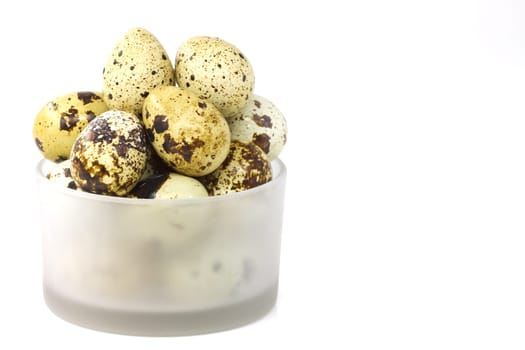 Quail eggs in a group, a delicacy with great taste qualities. Selective focus with shallow depth of field.