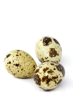 Quail eggs in a group, a delicacy with great taste qualities. Selective focus with shallow depth of field.