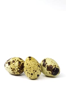 Quail eggs in a group, a delicacy with great taste qualities. Selective focus with shallow depth of field.