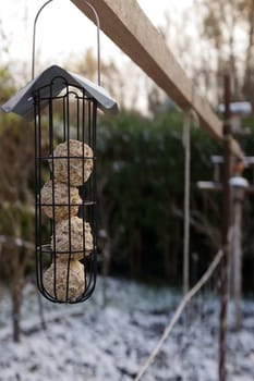 Home made bird feeder hung in a garden full of seeds.