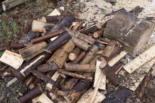 Lumberjack chopped the tree trunks for firewood. The texture of cut wood. Natural chopped wood.