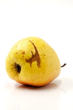 Fruit fresh pear with an imperfect shape. Selective focus with shallow depth of field.