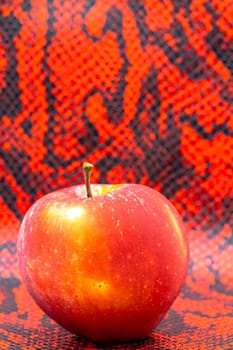 Red apple on snake skin - a metaphor for original sin and temptation