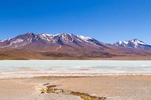 Laguna Hedionda landscape,Bolivia. Beautiful bolivian panorama. Blue water lagoon