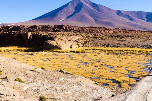 Beautiful bolivian landscape,Bolivia. Lakes and associated wetlands called Bofedales.