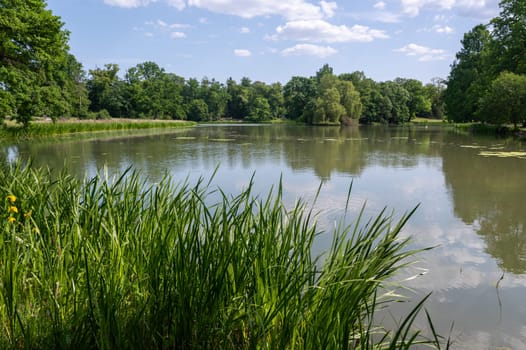 Small lake in a park, in a green landscape with a blue sky