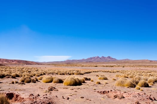Bolivian mountains landscape,Bolivia.Andean plateau view