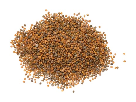Bunch of arugula seeds for planting on isolated background, top view