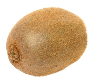 Whole kiwi fruit on isolated background, healthy food. Close up