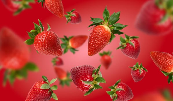 Ripe red strawberries with green leaves levitate on a red background, a sense of perspective
