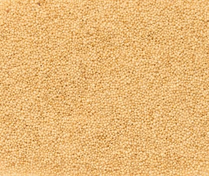 Amaranth seeds scattered, full frame. Close up