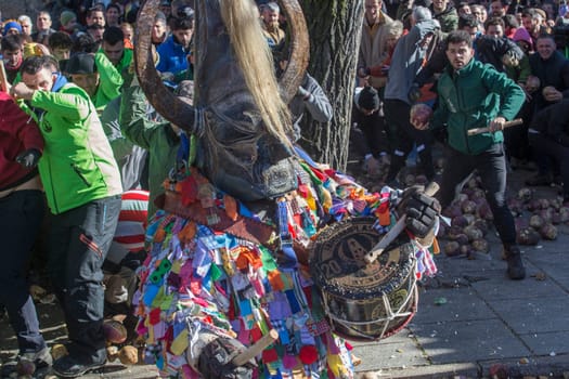 Caceres, Spain - Jan 20th, 2024: Jarramplas Festival of Piornal, Caceres, Spain. Traditional turnip-throwing festival