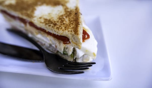 Detail of salty appetizer with toasted bread, food
