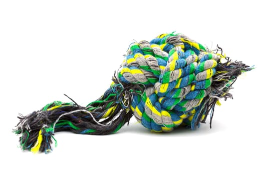 Used colorful rope knot for dog play.Selective focus with shallow depth of field.