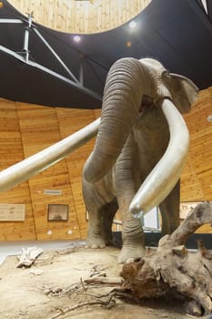 Pliocene Park in Dorkovo, Pazardzhik District, Bulgaria - October 5, 2019. A mammoth scale model of real mammoth. Remains of the animal have been found in the area of Dorkovo. Selective focus with shallow depth of field.