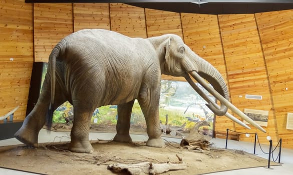 Pliocene Park in Dorkovo, Pazardzhik District, Bulgaria - October 5, 2019. A mammoth scale model of real mammoth. Remains of the animal have been found in the area of Dorkovo. Selective focus with shallow depth of field.