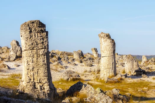 Natural rock phenomenon, Pobiti Kamani, Aksakovo Municipality, Varna District, Bulgaria. In the late afternoon.Selective focus with shallow depth of field.