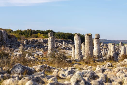 Natural rock phenomenon, Pobiti Kamani, Aksakovo Municipality, Varna District, Bulgaria. In the late afternoon.Selective focus with shallow depth of field.
