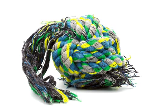 Used colorful rope knot for dog play.Selective focus with shallow depth of field.