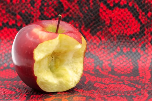 Bitten red apple on red black snake skin - a stylized metaphor for "Original Sin"".Selective focus with shallow depth of field."
