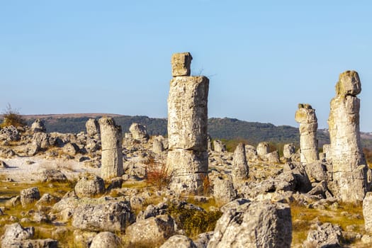 Natural rock phenomenon, Pobiti Kamani, Aksakovo Municipality, Varna District, Bulgaria. In the late afternoon.Selective focus with shallow depth of field.