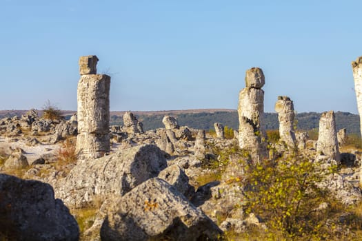 Natural rock phenomenon, Pobiti Kamani, Aksakovo Municipality, Varna District, Bulgaria. In the late afternoon.Selective focus with shallow depth of field.
