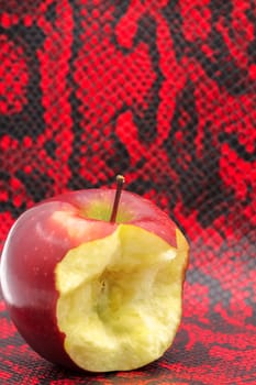 Bitten red apple on red black snake skin - a stylized metaphor for "Original Sin"".Selective focus with shallow depth of field."