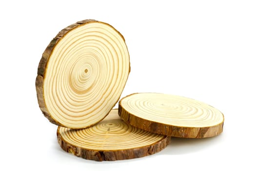 Three natural round wooden branches on a white background